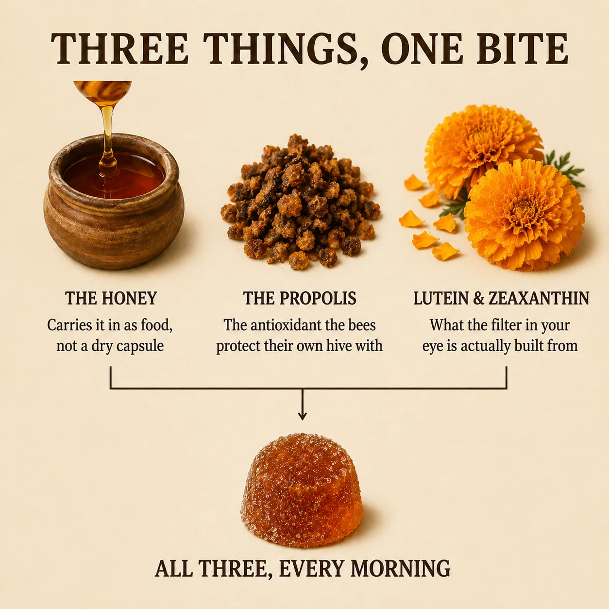 Real Jimerito honey plus propolis plus lutein and zeaxanthin, the two nutrients the layer is made of