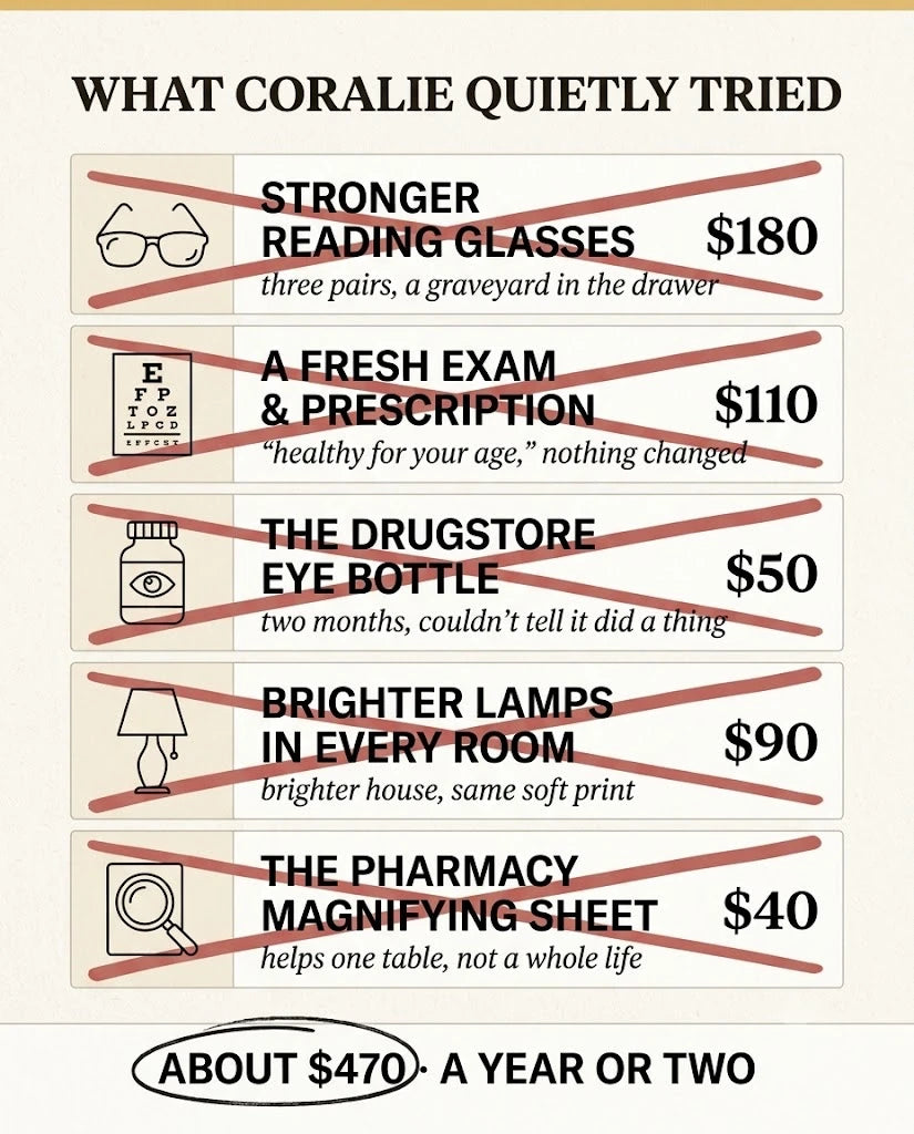 The things Coralie bought and quietly gave up on over a year, itemised with prices, each one crossed out